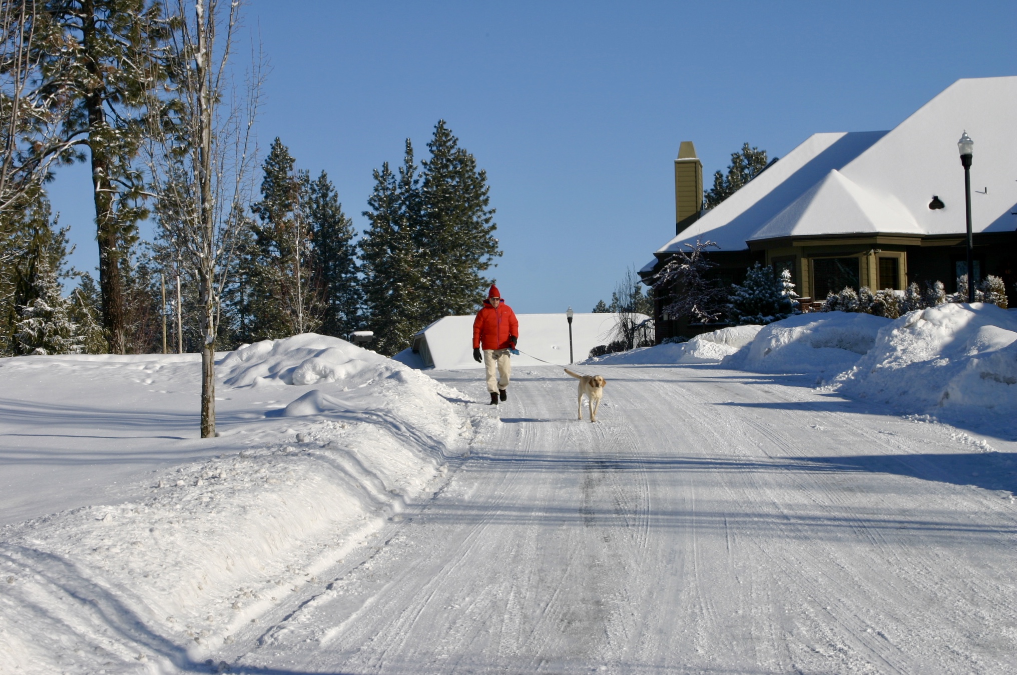 Dog Walking Man in Winter&conn=none